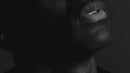 Lovely Needy People - Lyric Video Download