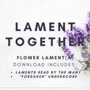 Seedlings - Lament Visual - Video Download