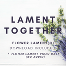 Seedlings - Lament Visual - Video Download