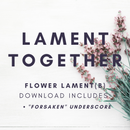 Seedlings - Lament Visual - Video Download