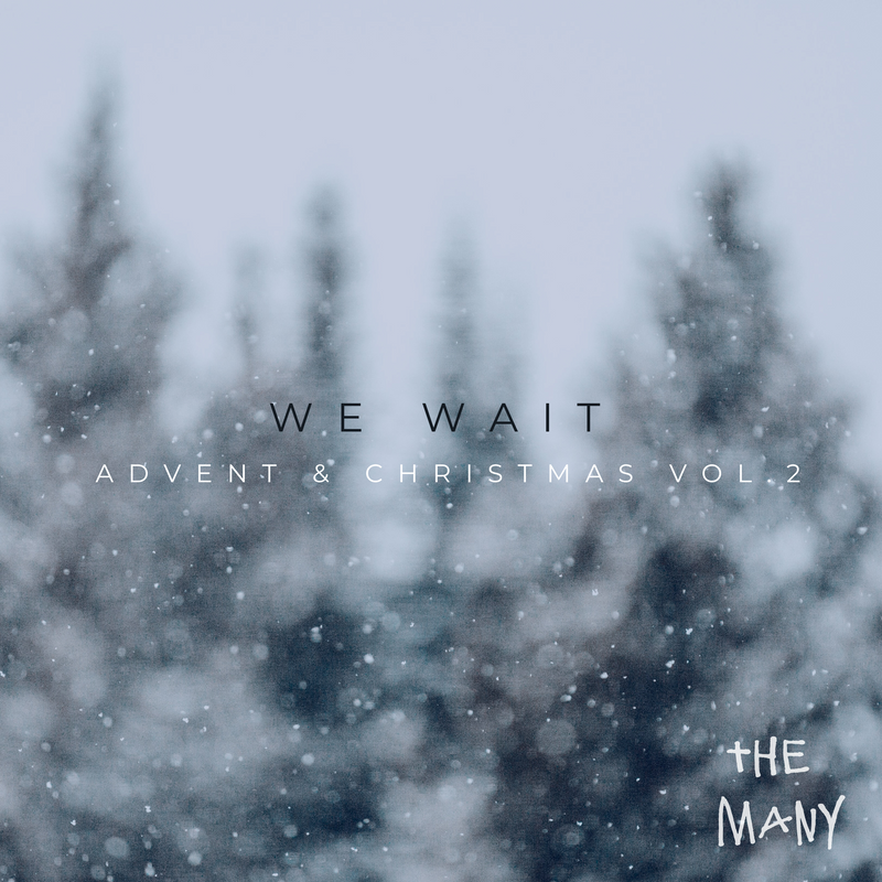 We Wait (Advent & Christmas Vol. 2) - Digital Album Download