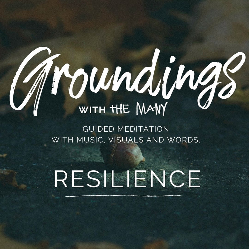 Resilience - Groundings Meditation Full Download