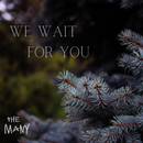 We Wait For You